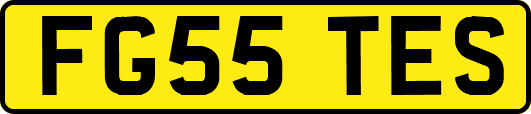 FG55TES