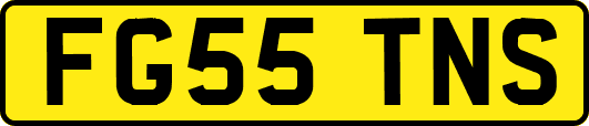 FG55TNS