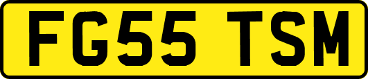 FG55TSM