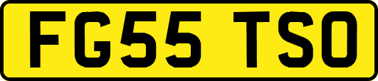 FG55TSO