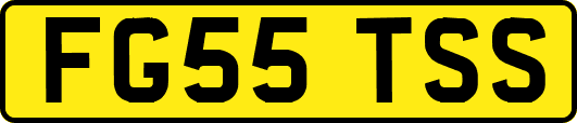 FG55TSS