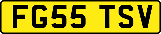 FG55TSV