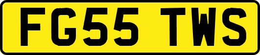 FG55TWS