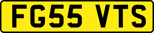 FG55VTS