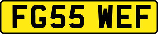 FG55WEF