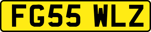 FG55WLZ