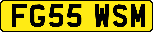 FG55WSM