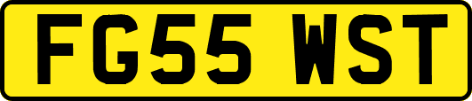 FG55WST
