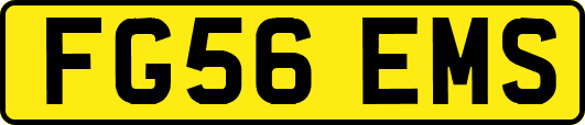 FG56EMS