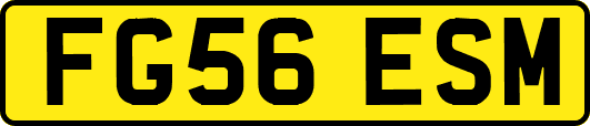 FG56ESM