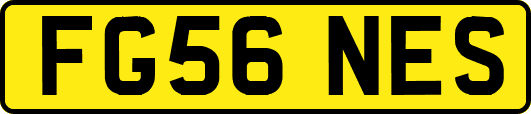 FG56NES