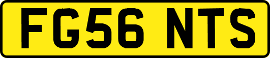 FG56NTS