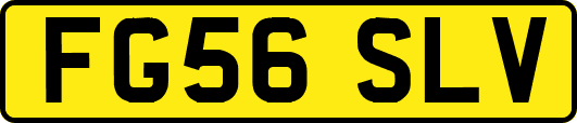 FG56SLV