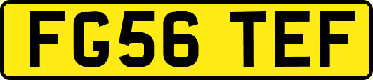 FG56TEF