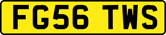FG56TWS