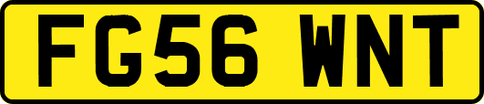 FG56WNT