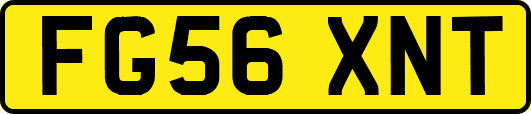 FG56XNT