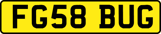 FG58BUG