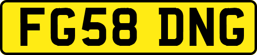 FG58DNG