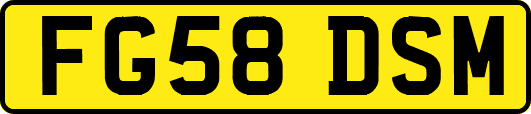 FG58DSM