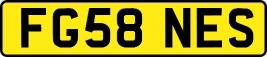 FG58NES