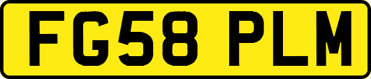 FG58PLM