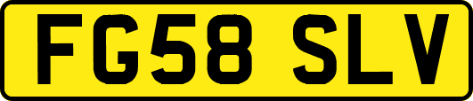 FG58SLV