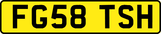 FG58TSH