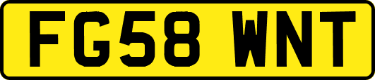 FG58WNT