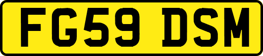 FG59DSM