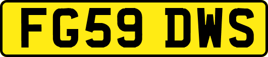 FG59DWS