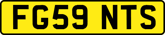 FG59NTS