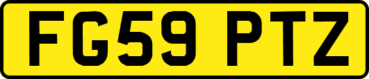 FG59PTZ