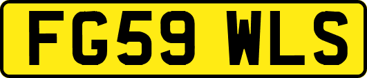 FG59WLS
