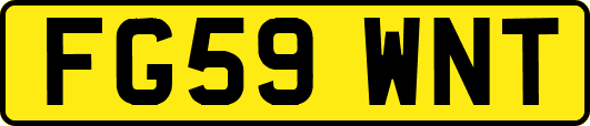 FG59WNT