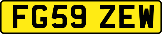 FG59ZEW