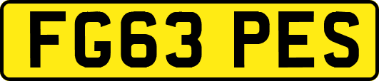 FG63PES