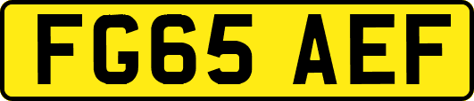 FG65AEF