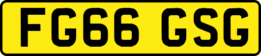 FG66GSG