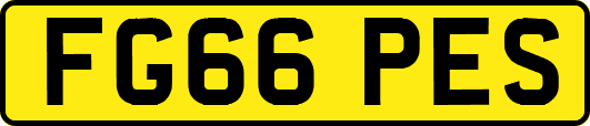 FG66PES