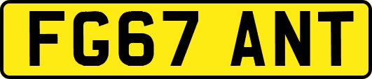 FG67ANT