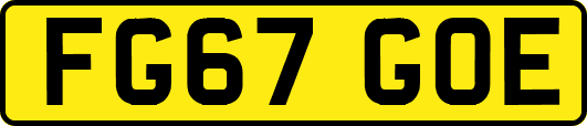 FG67GOE