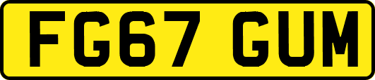 FG67GUM