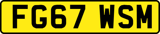 FG67WSM