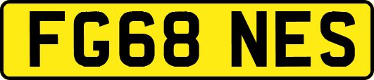 FG68NES