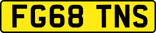 FG68TNS