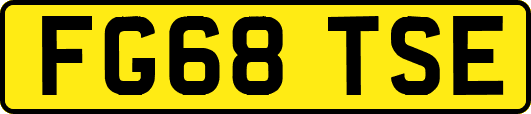 FG68TSE