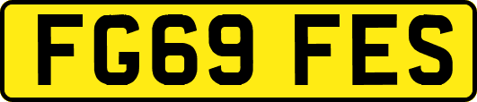 FG69FES