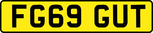 FG69GUT