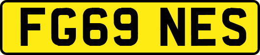 FG69NES